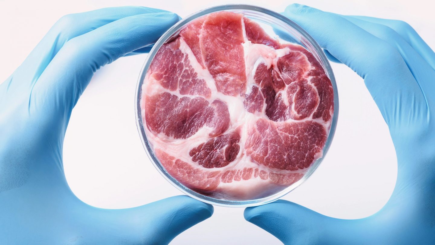 Should Canada follow Italy’s lead and ban lab grown meat?