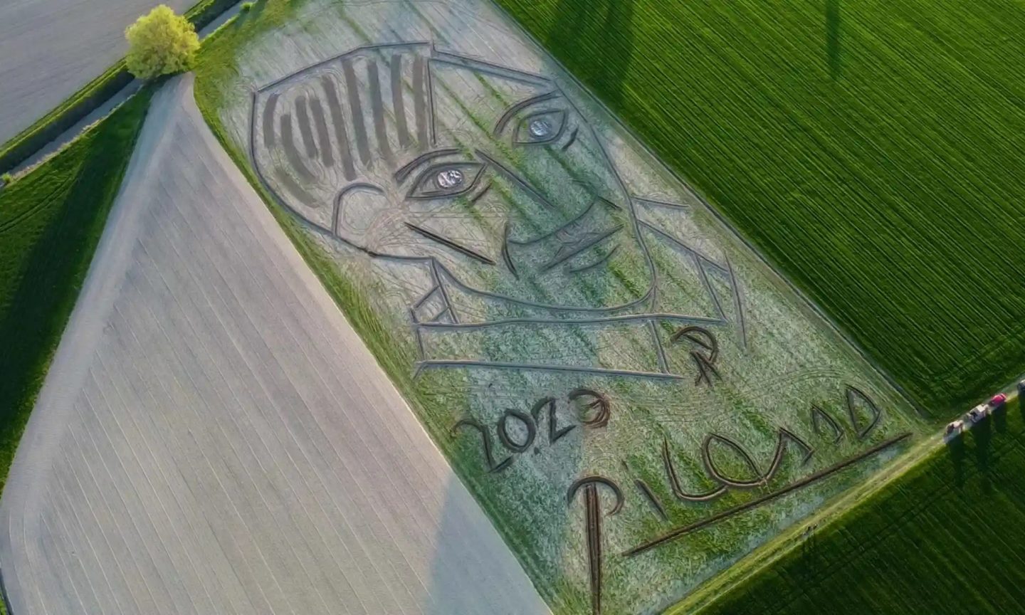 Italian land artist makes world’s largest Picasso portrait with tractor