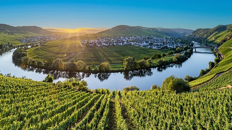 The World’s Oldest Operating Winery Is Over 1,000 Years Old