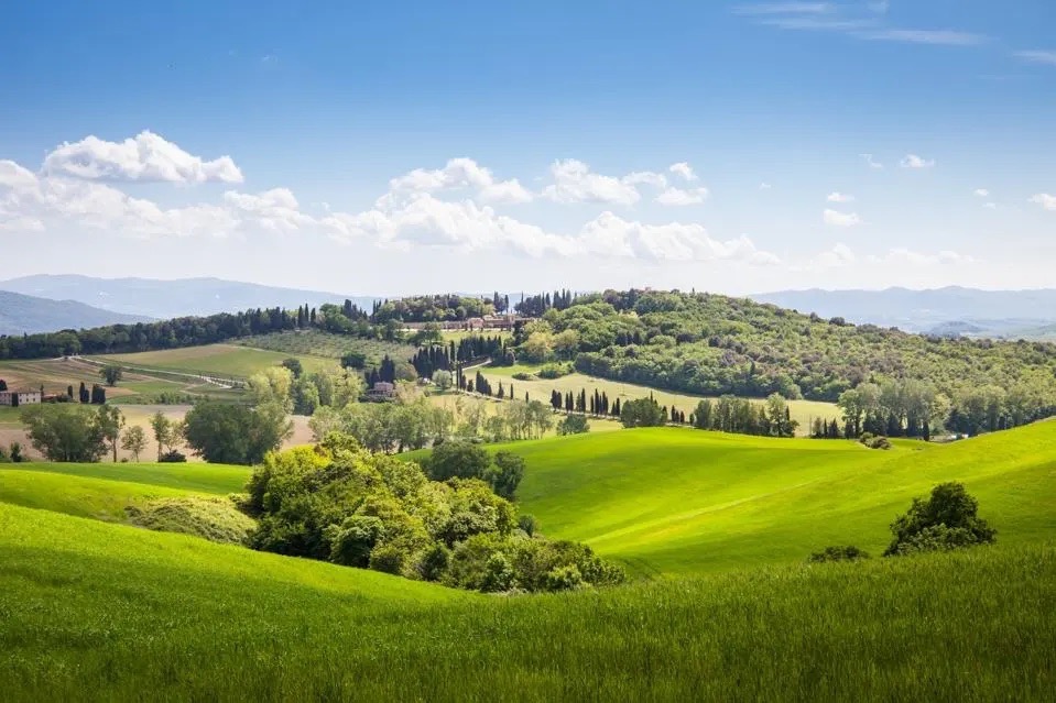 The Ultimate Tuscan Road Trip For Wine Lovers