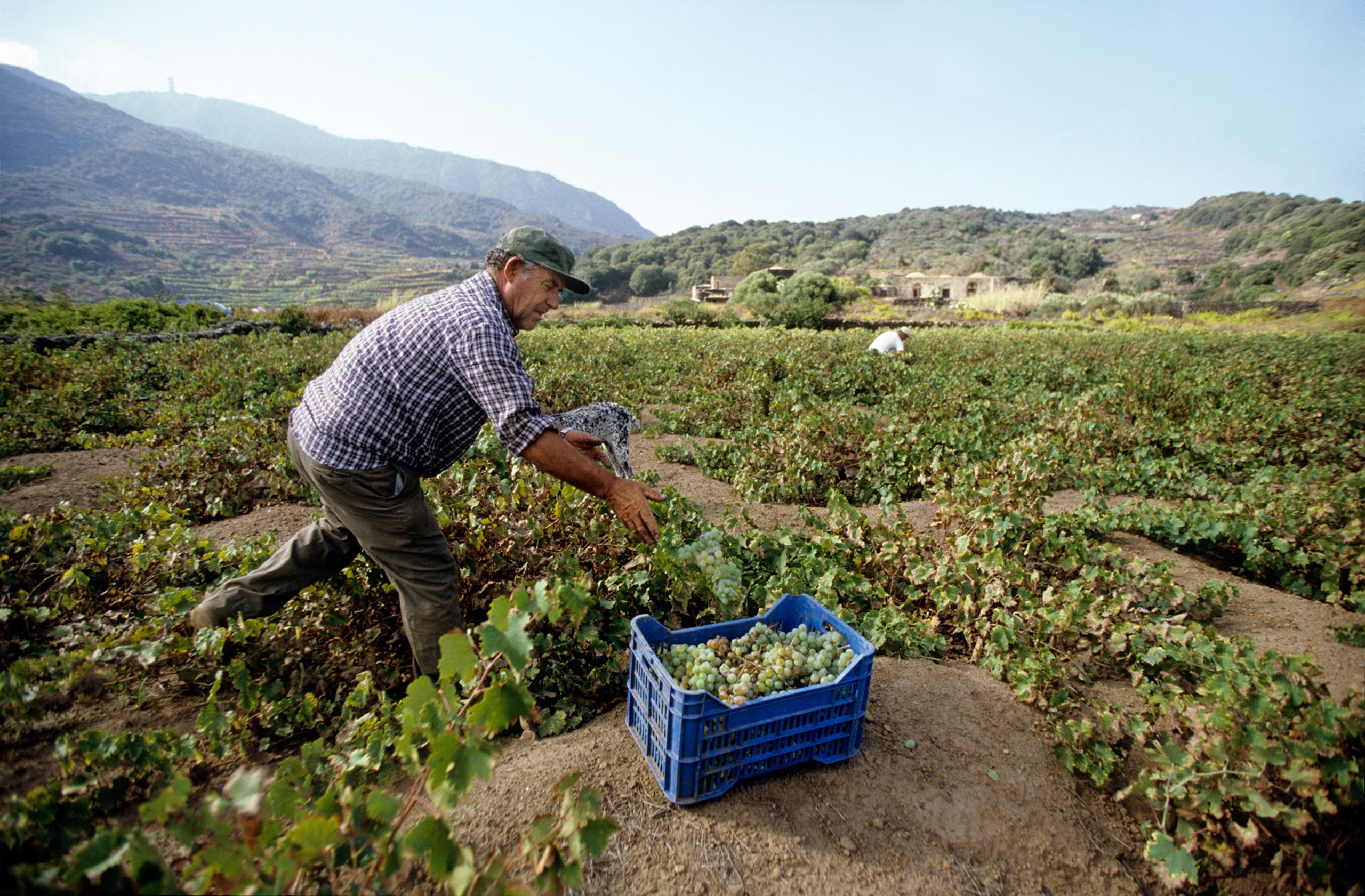 This Volcanic Italian Island Was Made For Wine