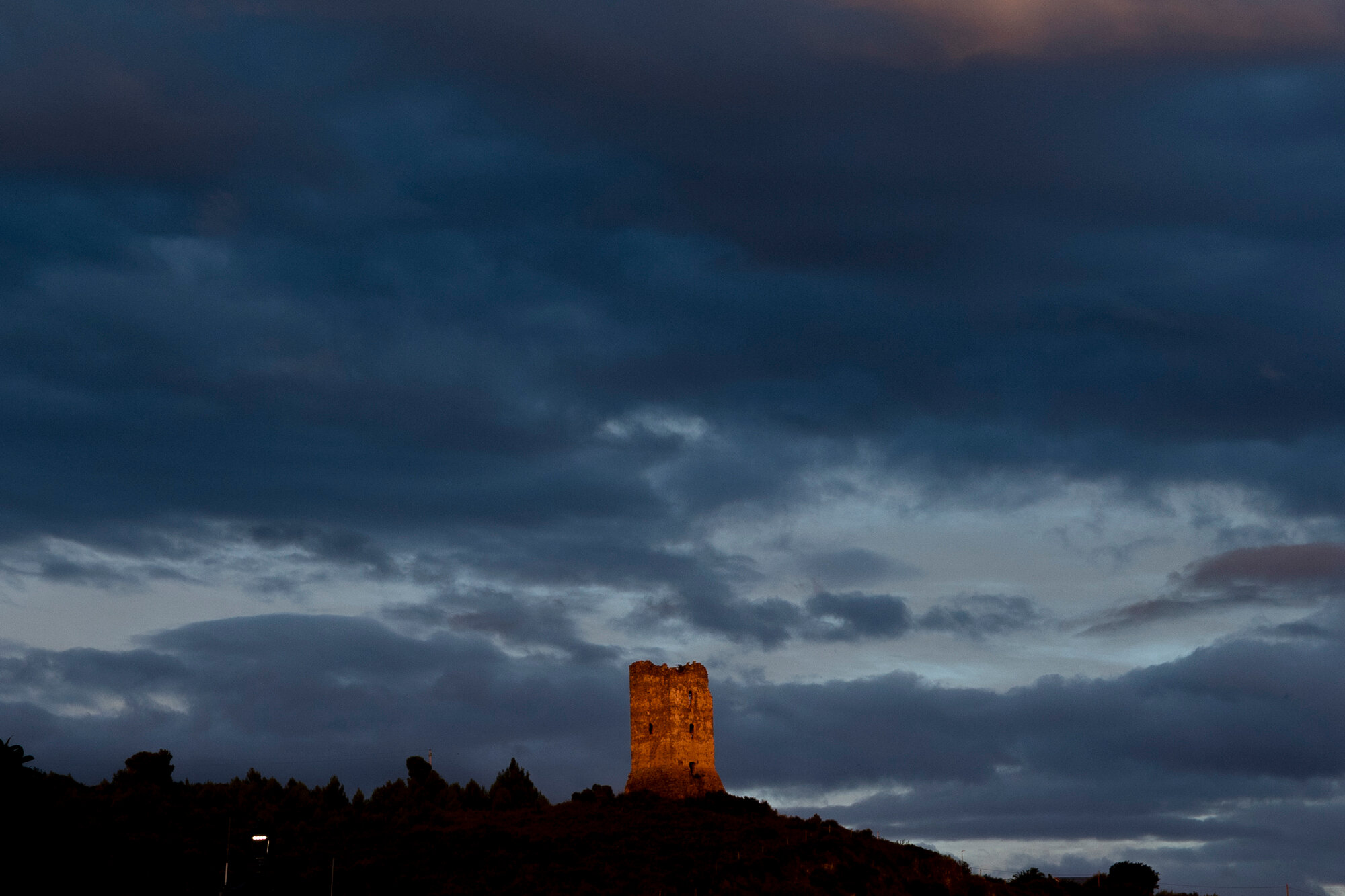 A Slice of Caracas Flourishes in an Unlikely Spot: The Italian Mediterranean